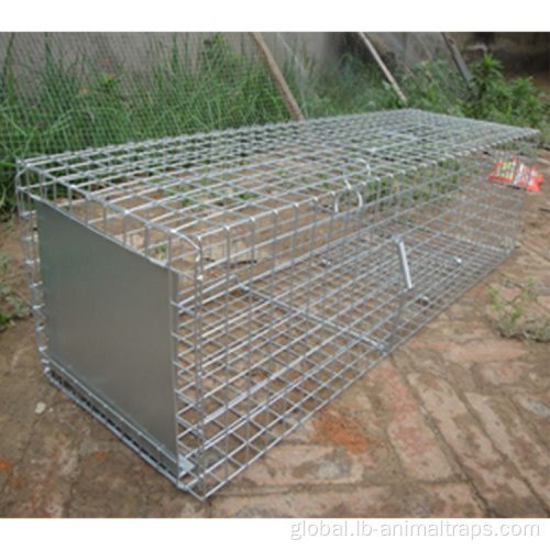 Live Cage Trap Live animal catcher rat traps Rodent Manufactory